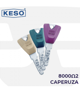Caperuza color llave Cilindro 8000Ω2, KESO