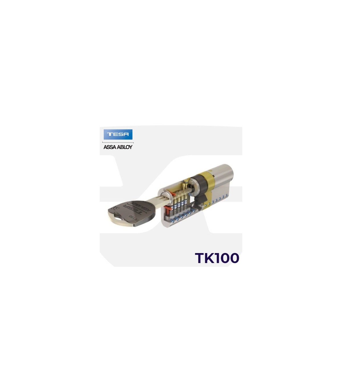 Cilindro de alta seguridad TK100 de TESA ASSA ABLOY - Protección