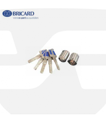 Cilindro adaptable para cerraduras Bricard